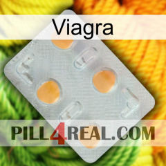 Viagra 24